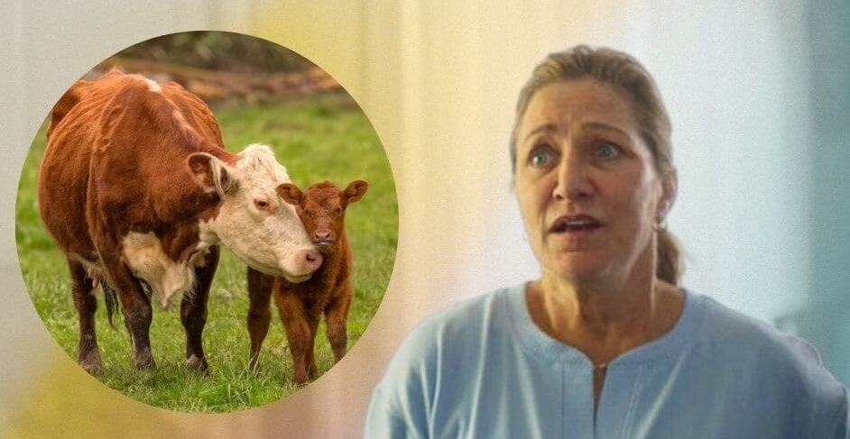 PETA’s Super Bowl Ad Has Edie Falco Screaming