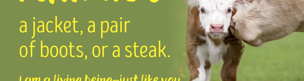 I Am Not A Jacket, A Pair Of Boots, Or A Steak. (reduced text for billboards)