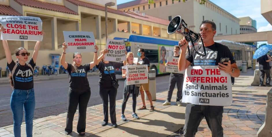 a group of PETA supporters protesting to close down Miami Seaquarium