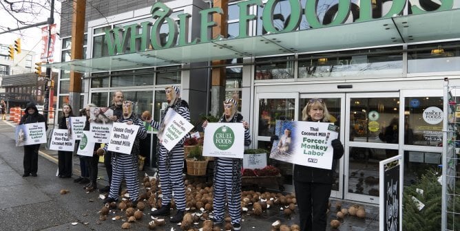 a peaceful PETA demonstration at a Whole Foods Market in Vancouver on November 29, 2023, protesting coconut milk obtained from Thailand monkey labor