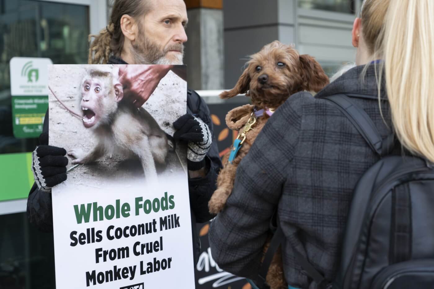 a passerby with a dog observing a peaceful PETA demonstration at a Whole Foods Market in Vancouver, protesting coconut milk obtained from Thailand monkey labor