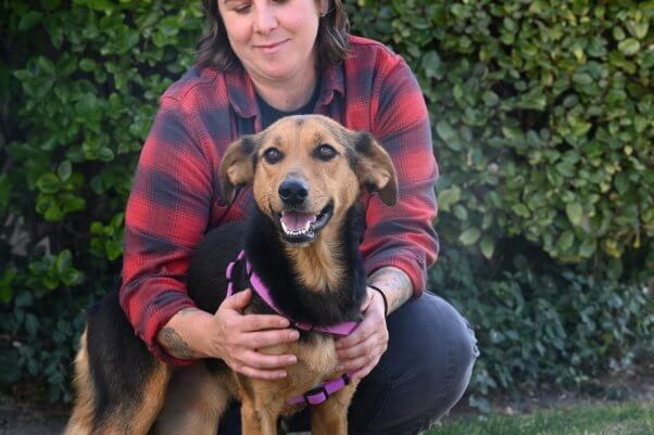 dog Pearl in harness with guardian