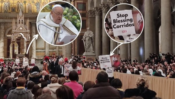 Protest interrupts Pope's prayer on behalf of bulls