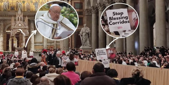 Protest interrupts Pope's prayer on behalf of bulls