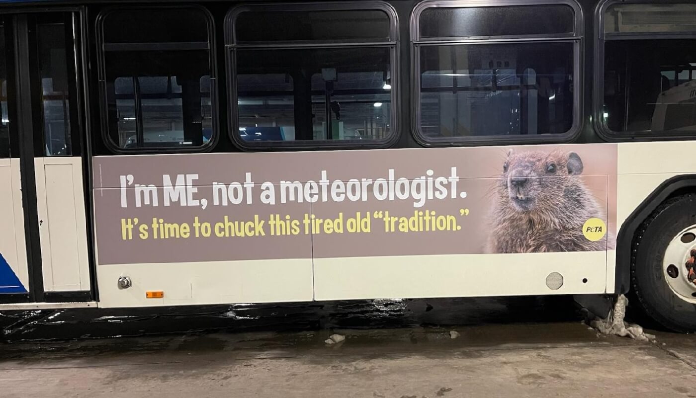 PETA's "I'm ME, not a meteorologist" ad on the side of a bus in Sun Prairie, Wisconsin