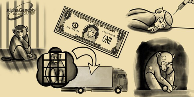 Beamish drawings to show his story as a prisoner of NIH