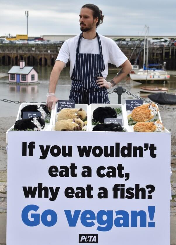A man stands at a fish market selling fake dead cats with a sign that reads "If you wouldn't eat a c at. why eat a fish? Go vegan!"