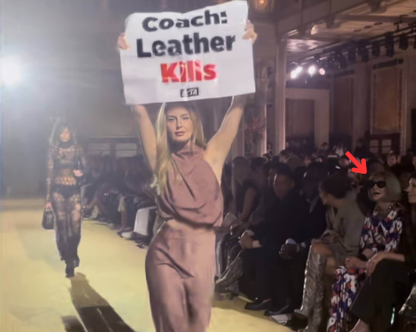 A model on the runway with a PETA sign targeting designer brand Coach