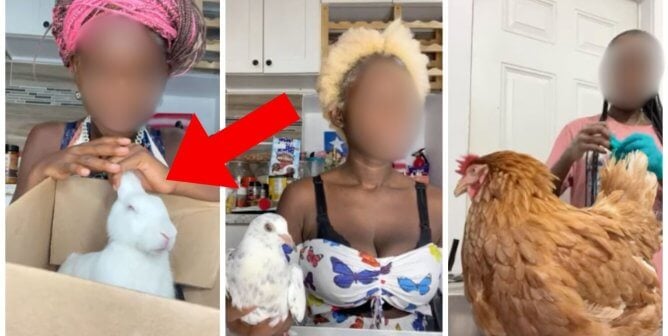 three separate stills from a woman's horrific 'crush videos,' showing her with a rabbit, a pigeon, and a chicken