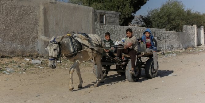 A donkey pulling three children on a cart