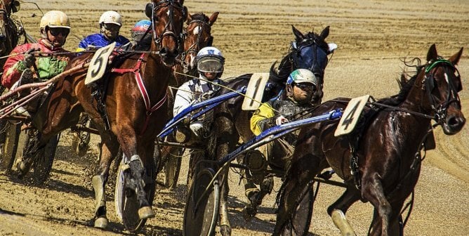 humans force horses to participate in harness racing