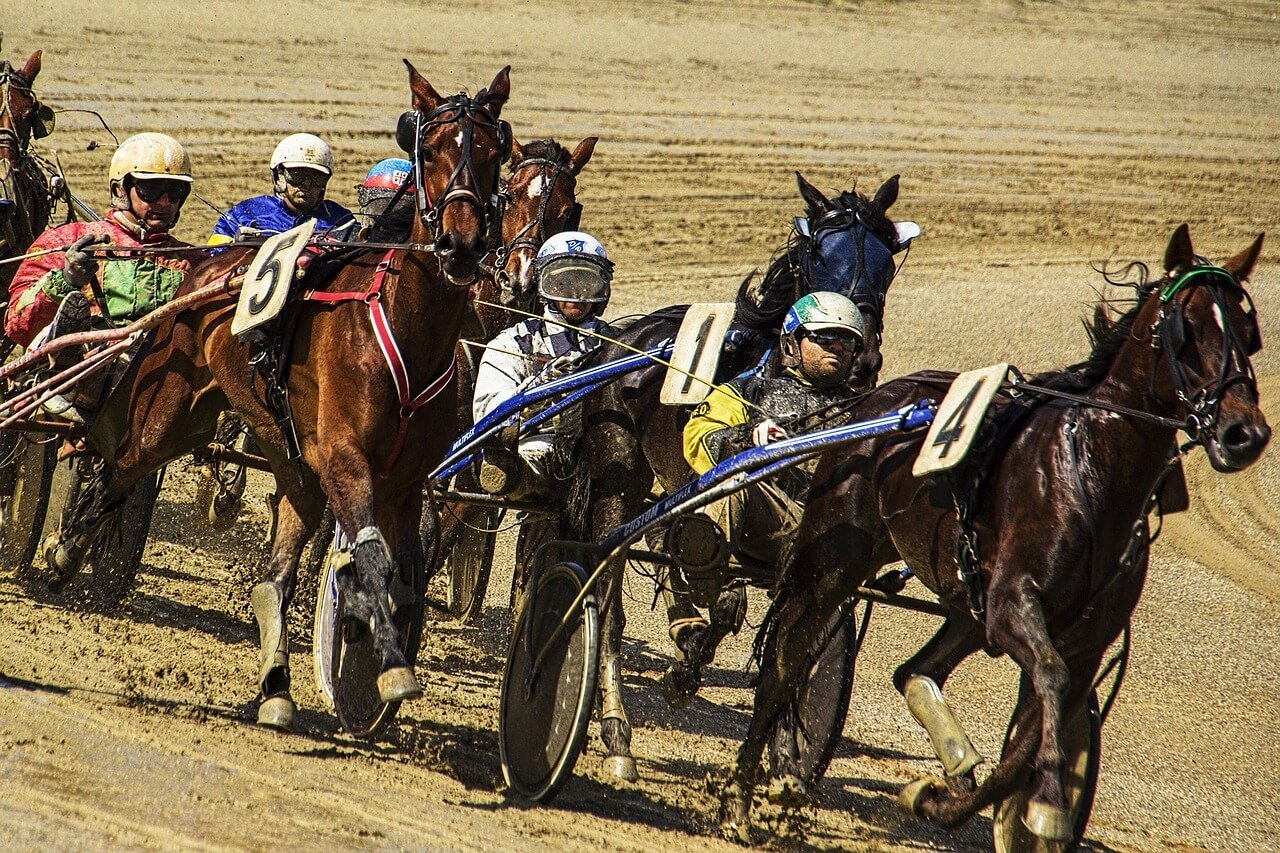 Police Arrest Harness Racing Trainer Frederick Bourgault