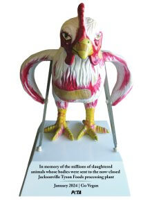 Photo of an injured chicken statue