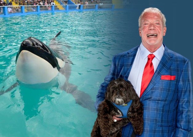 Game Plan: Jim Irsay Steps Up for Animals