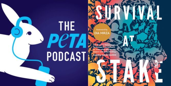Go Behind the Scenes at PETA With Our Podcast