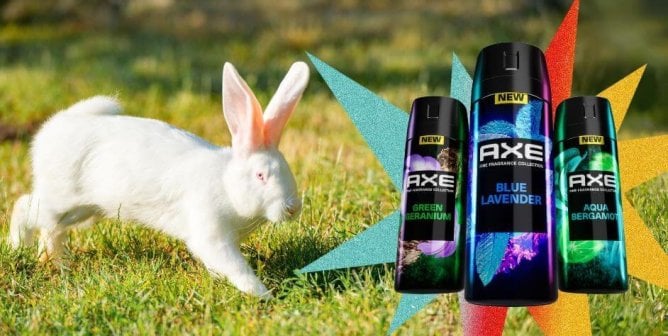 A white rabbit with Axe products to the right