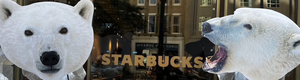 Two PETA supporters stand outside Starbucks with polar bear masks and signs