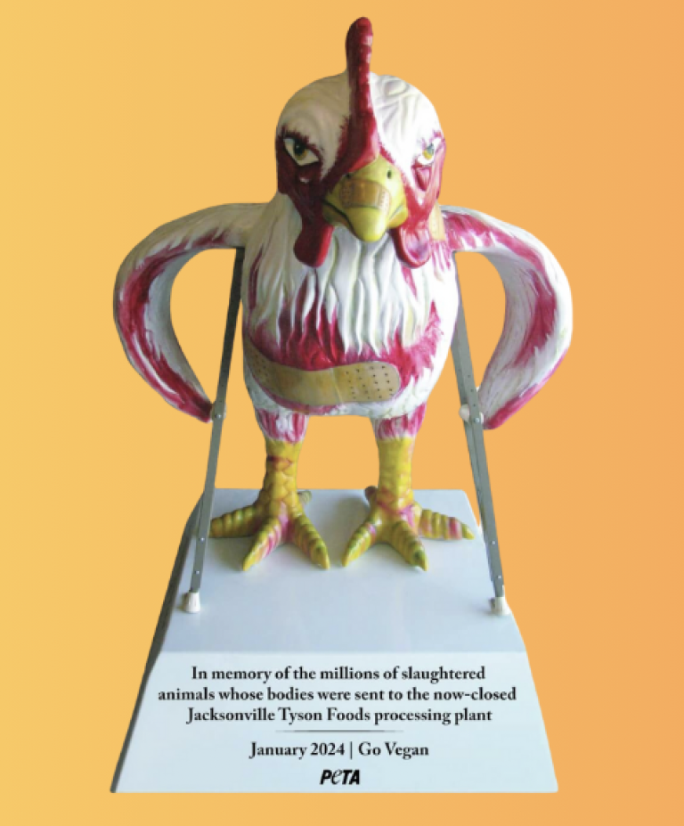 Tyson Announces Slaughterhouse Closures to Cut Costs PETA