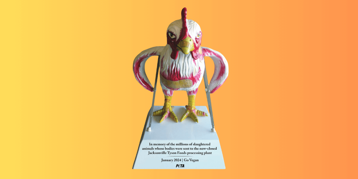 Tyson Announces Slaughterhouse Closures to Cut Costs PETA