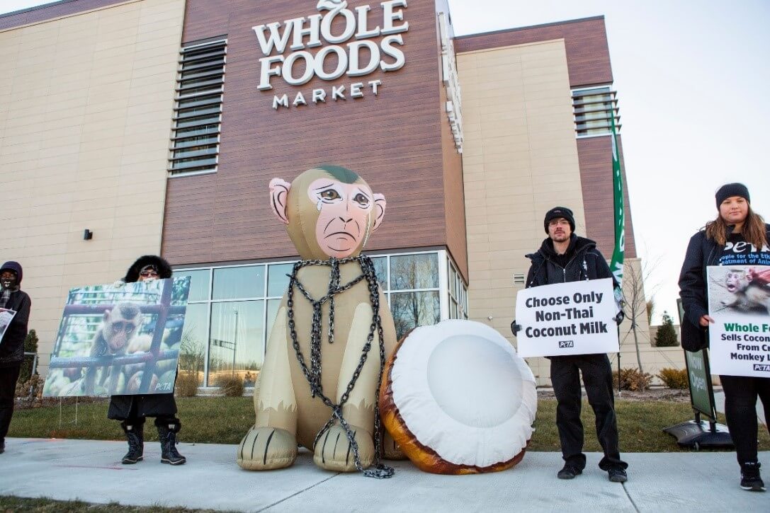 giant inflatable monkey chained to a equally giant inflatable coconut at a whole foods store protest