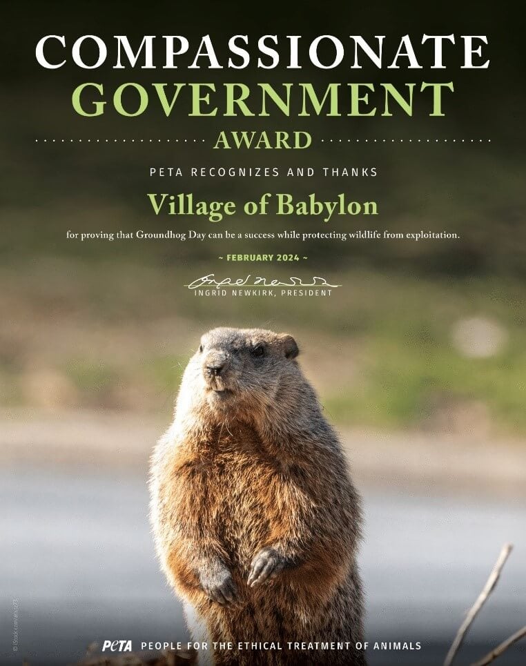 compassionate government award featuring a groundhog that peta is giving to the village of babylon for using a mascot for groundhog day