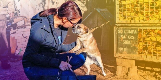 See Your Worldwide Impact for Animals and Meet Rescuers Who Risk It All