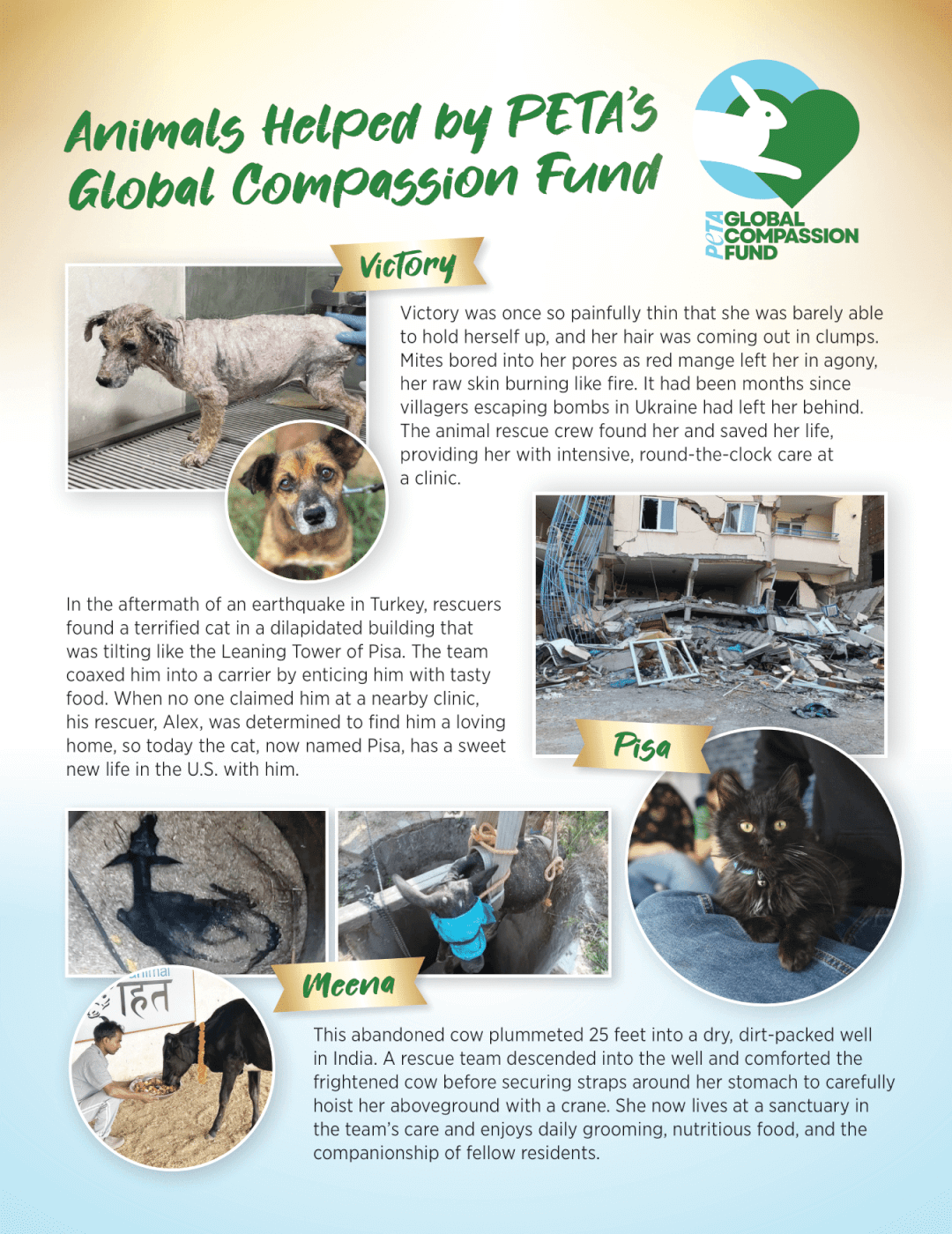 Oscar® gift card with stories of animals helped by PETA