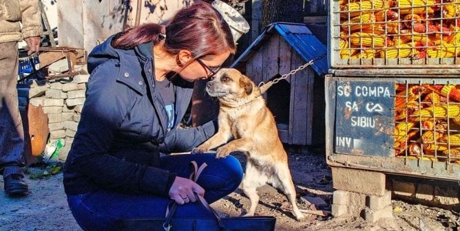 worker with dog who is chained