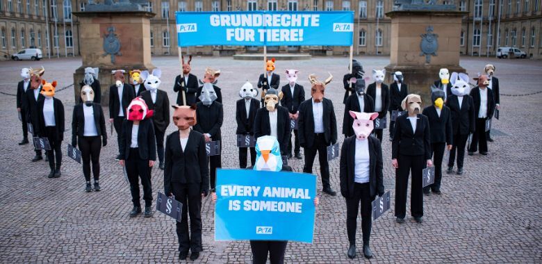 PETA Germany Urges Parliament to Grant Personhood to Animals