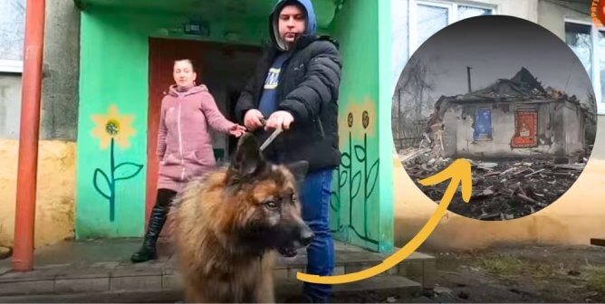Rescuers in Ukraine Scour Bomb-Riddled City to Save Desperate Animals