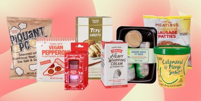 assortment of vegan products new at trader joe's