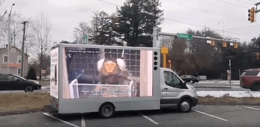 UMass Mobile Billboard 2 1 2024 UMass Monkey Torment Put on Blast by PETA, Local Animal Rights Group