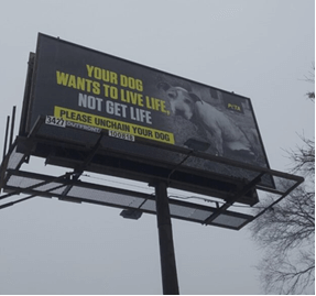 Unchain your dog BB psa winter PETA owned Freezing Weather Prompts ‘Take Your Dog Inside’ Messaging Appeals From PETA