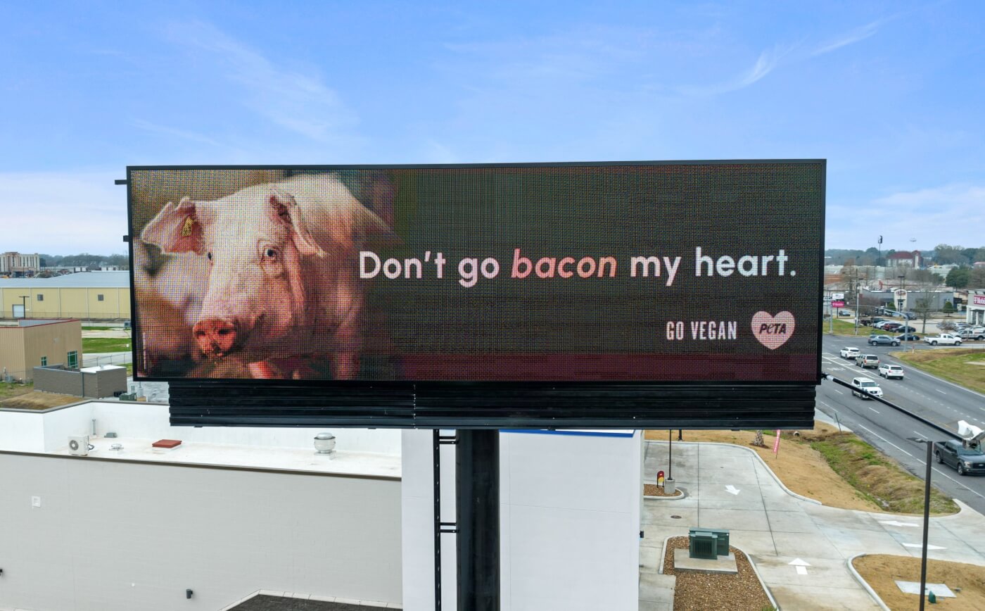 Close up of the don't go bacon my heart billboard