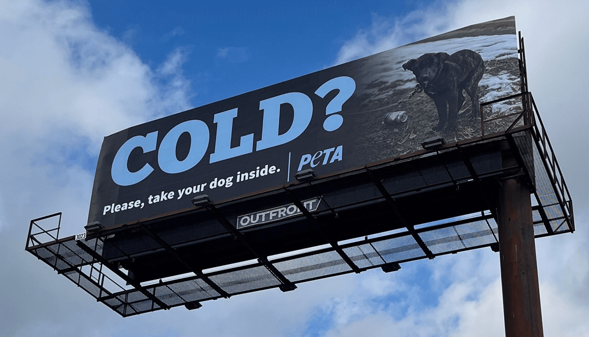 COLD? winter PSA