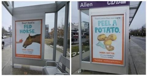 two images shown side-by-side that show an image of animal friendly idioms - the left is a horse being handed an apple with the text "Don't feed a fed horse" and the right shows a trio of potatoes being peeled with the text "There's more than one way to peel a potato", and the text "words matter" at the bottom of both ads