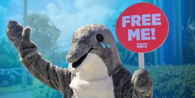 dolphin mascot holding sign "free me" at miami seaquarium