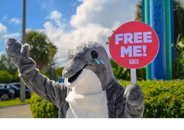 dolphin mascot with free me sign