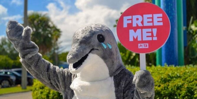 dolphin mascot with free me sign