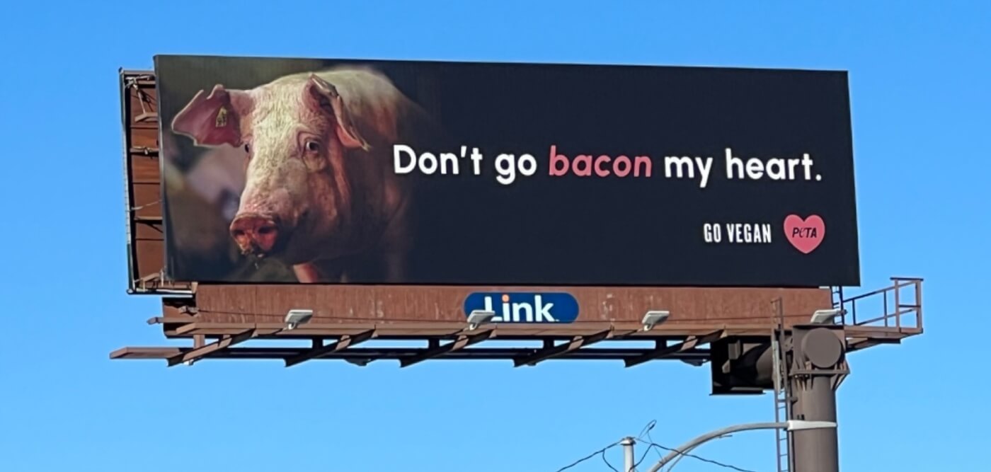 Photo of billboard featuring a pig with text reading don't go bacon my heart