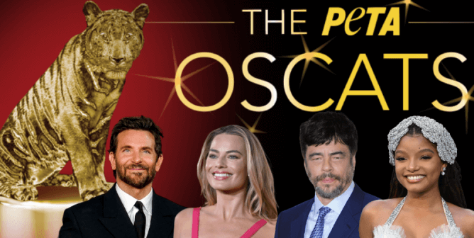 Margot Robbie, Halle Bailey, Benicio Del Toro, and Bradley Cooper in front of Oscat award imagery
