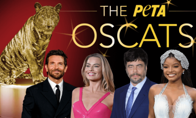 PETA’s Oscat Awards: A Closer Look at This Year’s Standout Films for Animal Advocacy
