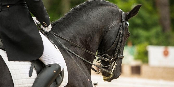 a dressage rider on a black horse with head in a rollkur position