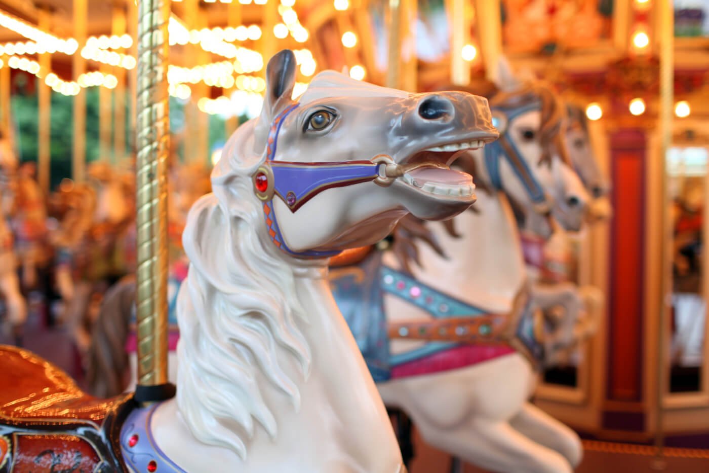 horse head on a carousel
