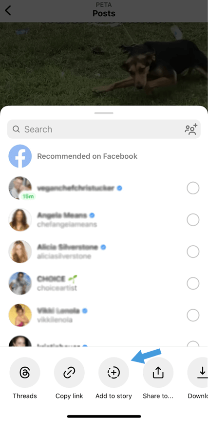 Screenshot of Instagram share tab with an arrow pointing to 'add to story'