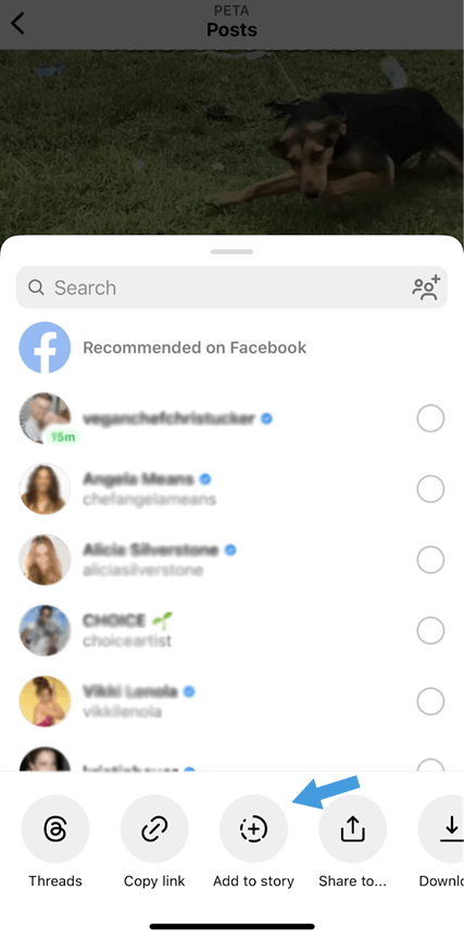 Screenshot of Instagram share tab with an arrow pointing to