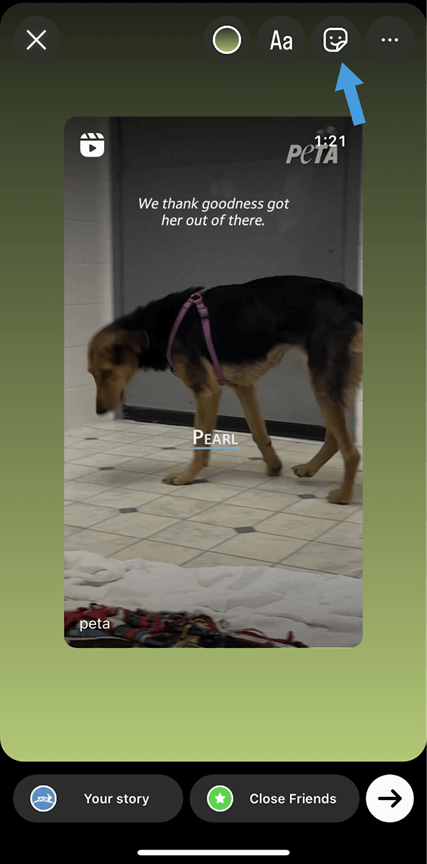 Screenshot of Instagram showing an arrow pointing to the top