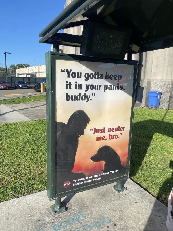 Just Neuter Me ad on bus shelter in new orleans