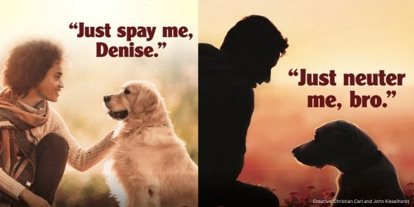 (left) woman petting dog with text that says "just spay me" (right) man and dog with text that says "just neuter me"