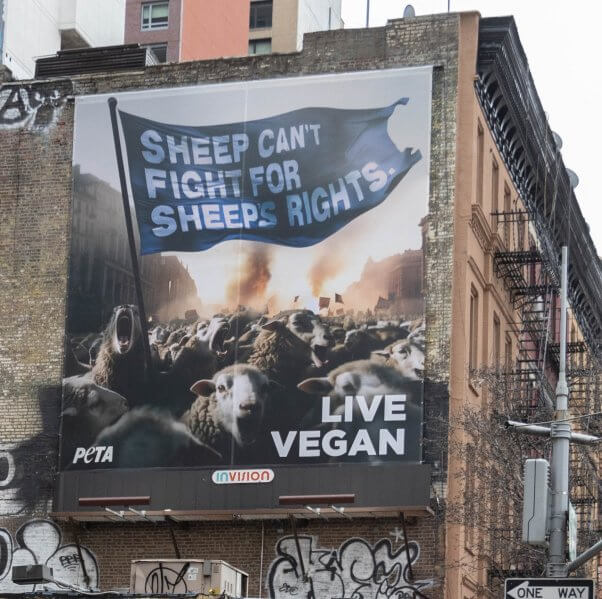 Photo of a billboard featuring a heard of sheep with a banner reading sheep can't fight for sheep's rights - live vegan